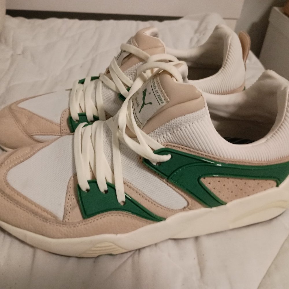 Basket puma